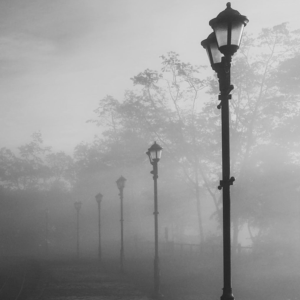 Street lamps seen through thick fog, illustrating optical imaging in a scattering environment.