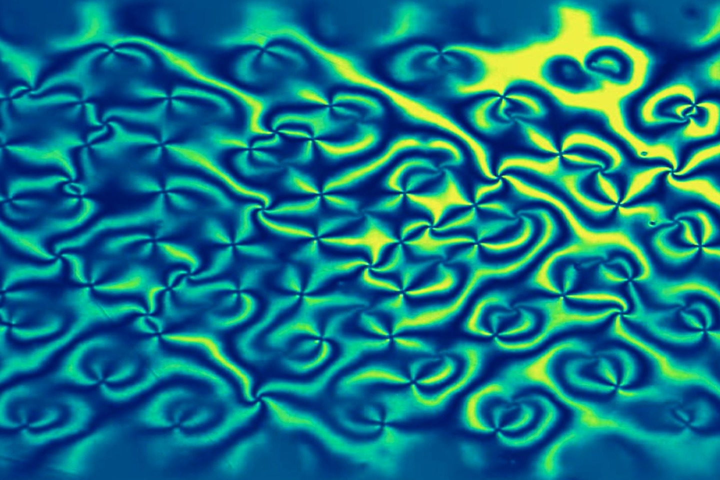 Colour experimental image of a dense umbilical network in a liquid-crystal light valve, with blue, green and yellow patterns.